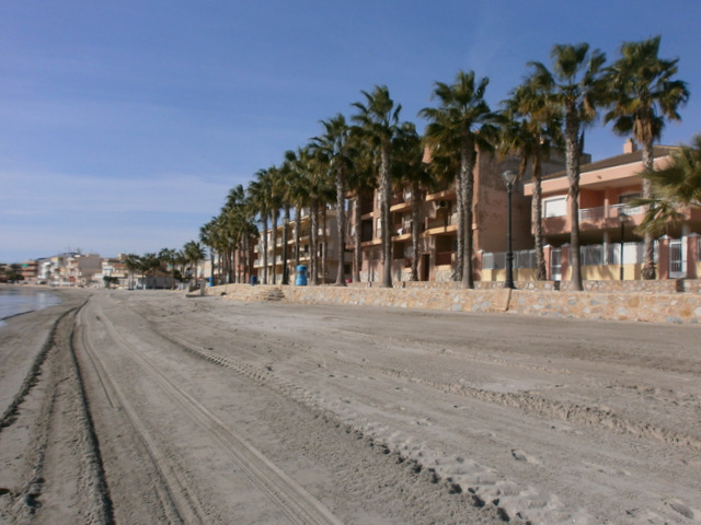 Los Alcázares beaches: Playa de Las Palmeras