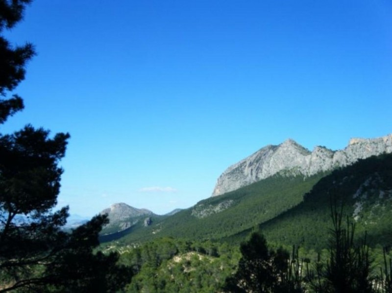 The mountains and regional park of Sierra Espuña in Alhama de Murcia