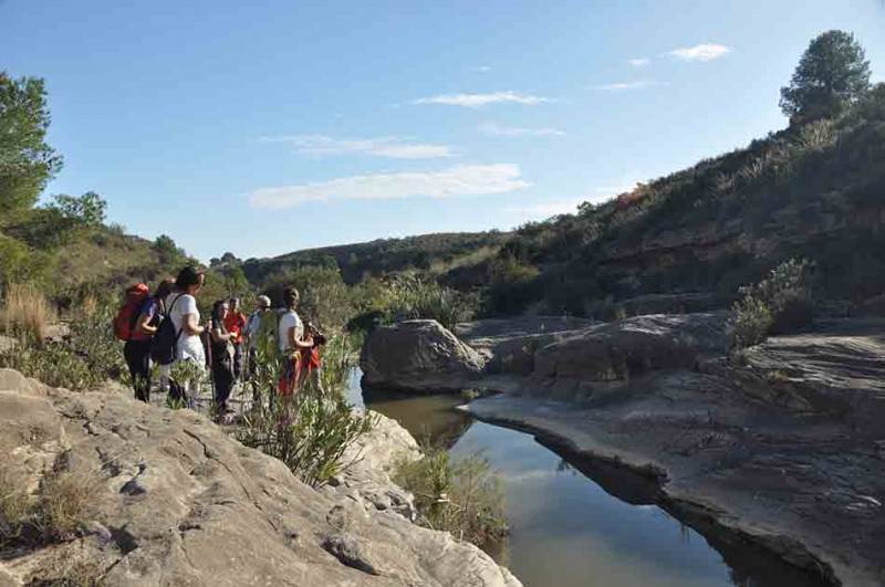 Five great walks in the Region of Murcia!