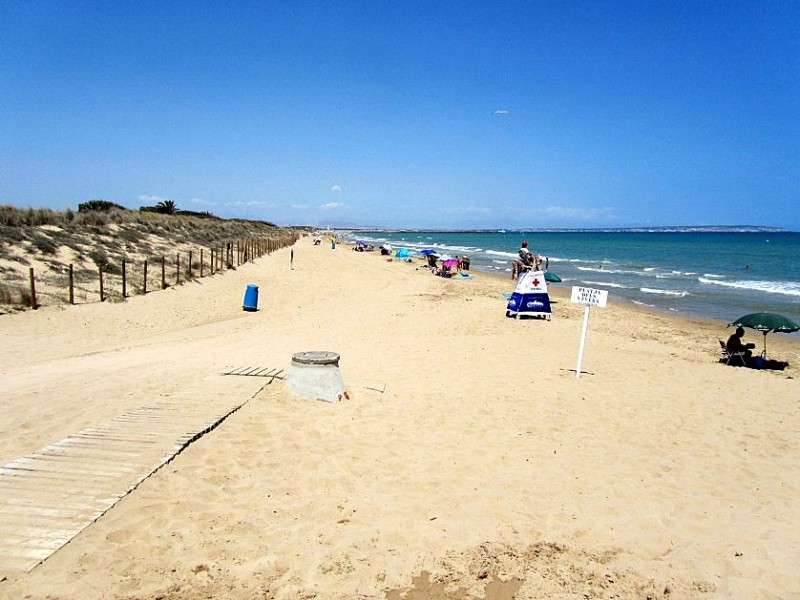 Playa de los Viveros / Platja dels Vivers, Guardamar del Segura