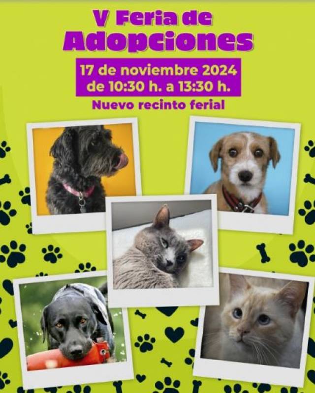 Nov 17-Dec 2 Alhama launches pet adoption fair alongside campaign for responsible ownership