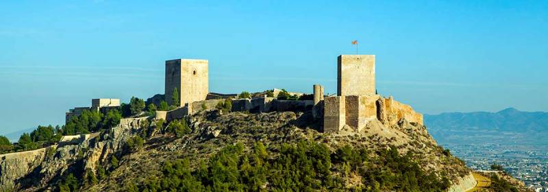 Until December 31 Cut-price admission to indoor areas of Lorca castle