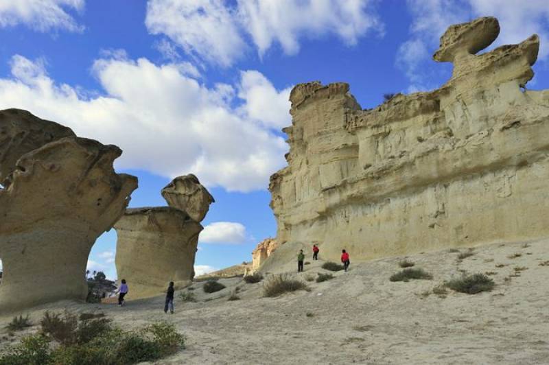 Did you know you can take a buggy ride to discover the beautiful Bolnuevo coves of Mazarrón?