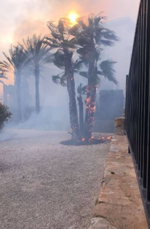 Dozens evacuated as wildfire threatens homes near Orihuela Costa golf resort