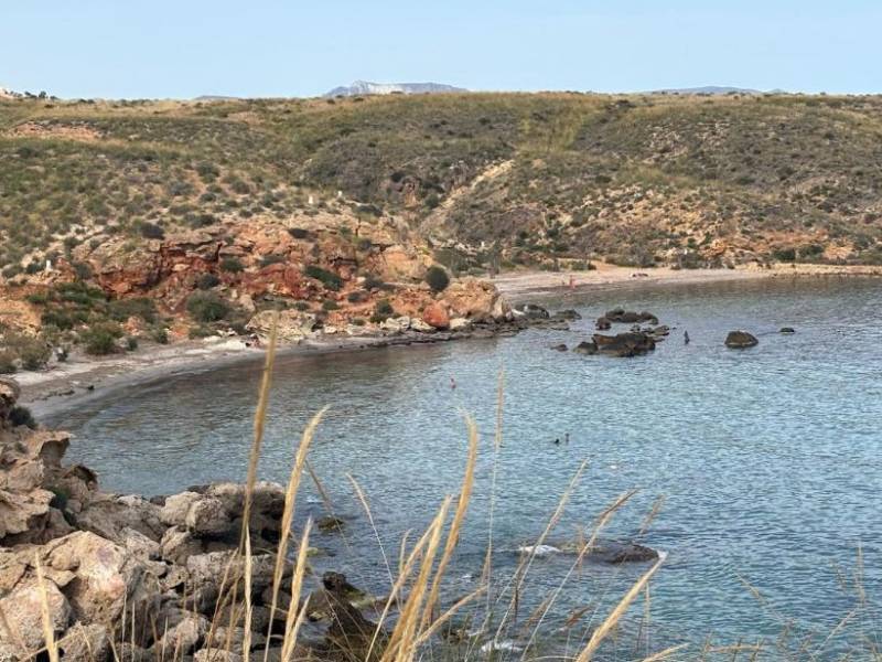Ecoadventure Buggy Tours: A gentle, guided tour in an electric buggy across the protected landscape of the Sierra de Las Moreras