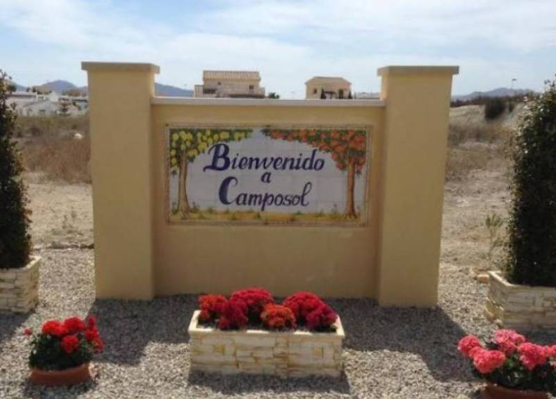 Why your business should ditch roadside billboards and advertise with Camposol Today instead