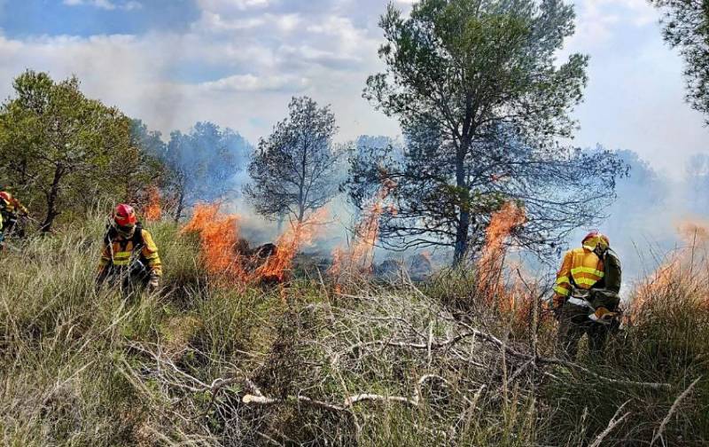 WATCH! Wildfire tears through 400 hectares of protected park land in Sierra Espuña