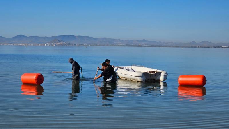 Coastal algae and seagrass removal finally begins in Águilas and Los Alcázares 