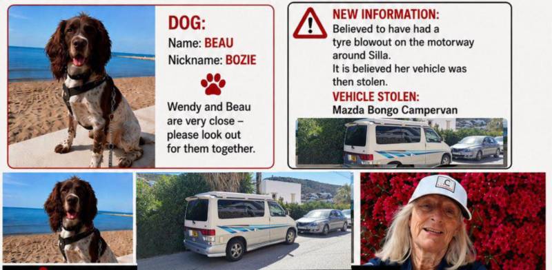 Missing British woman found safe near Valencia but beloved dog still missing