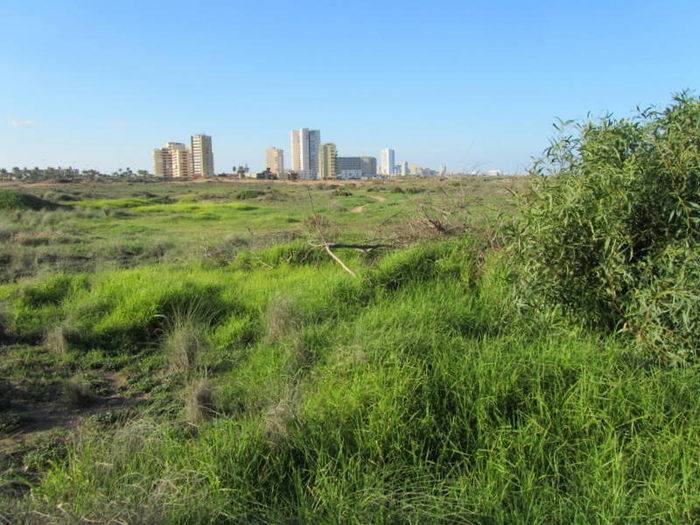 Marchamalo and Amoladeras nature reserves in Cabo de Palos