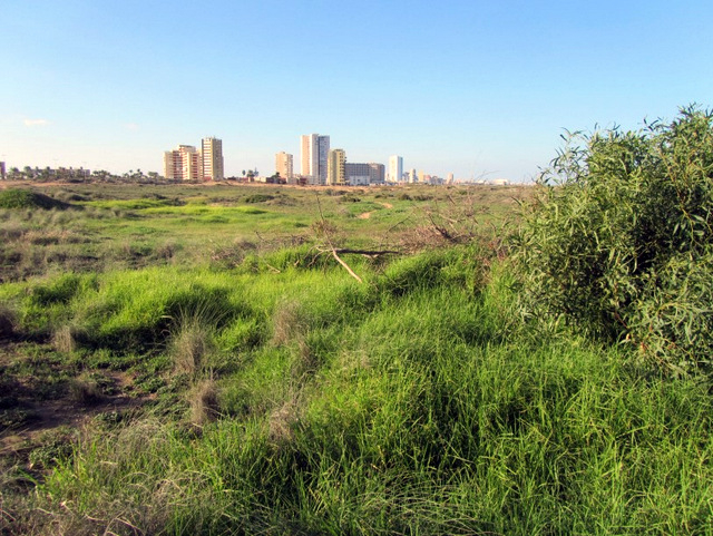 Cartagena beaches: Playa Amoladeras (Cabo de Palos)