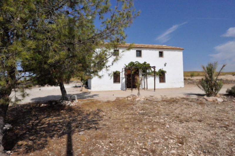 Bodegas Evine winery affiliated to the Yecla Wine Route