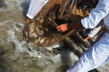 El Portus maintains historic fishing techniques