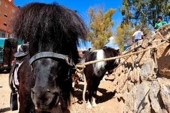 A history of Fuente Álamo
