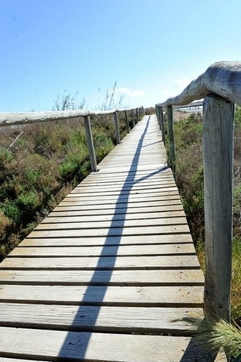 Parque Regional Salinas y Arenales de San Pedro del Pinatar